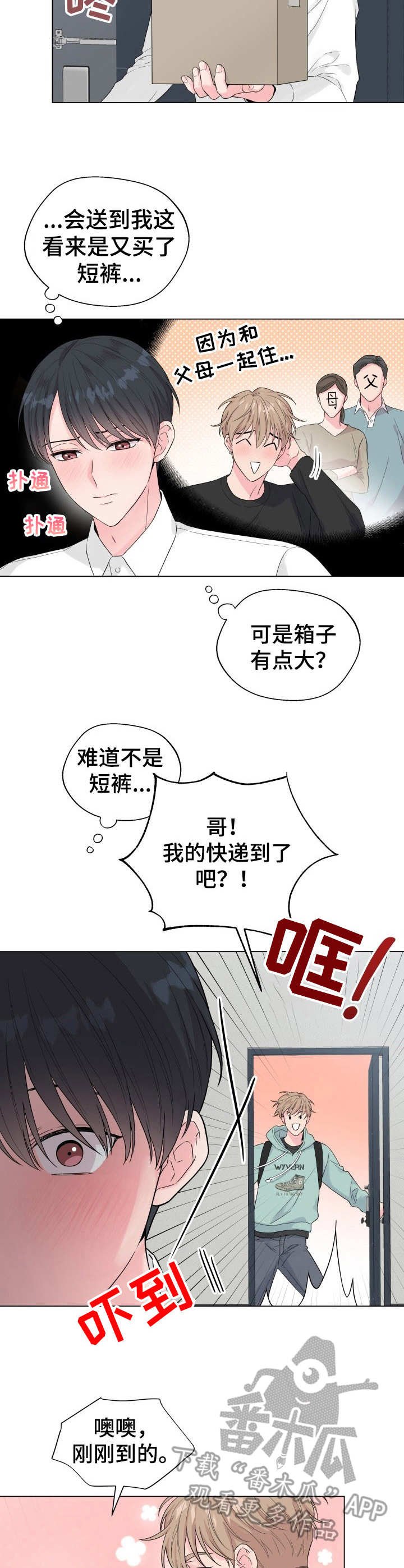第17章：狐狸尾巴：快递