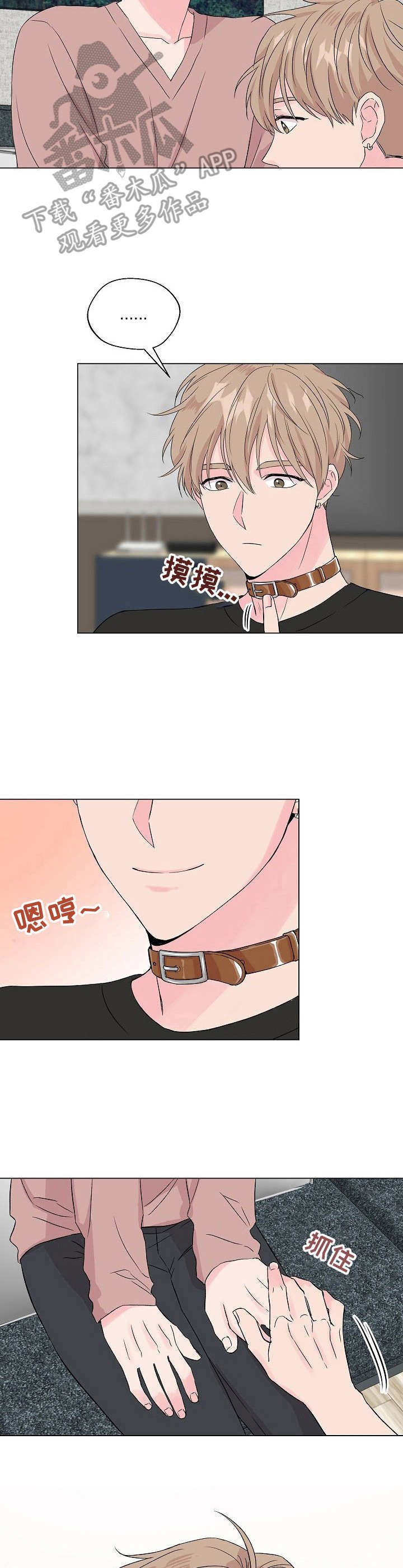 第19章：狐狸尾巴：项圈