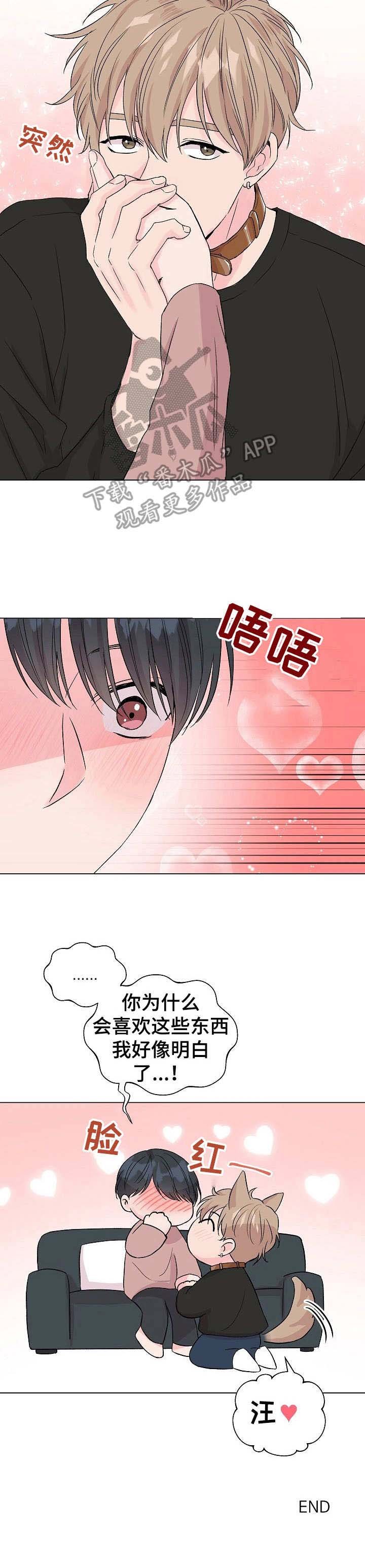 第19章：狐狸尾巴：项圈