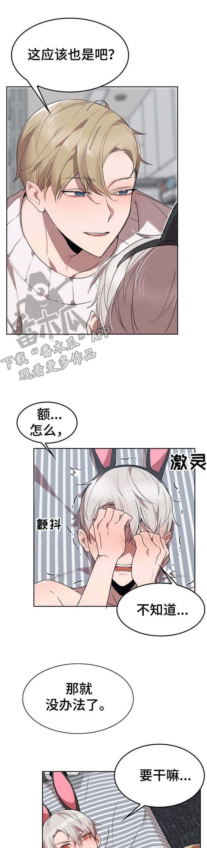第6章：我的小兔兔：找找看