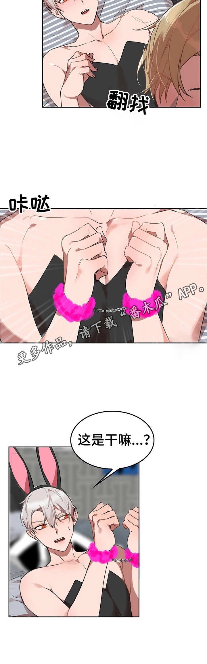 第6章：我的小兔兔：找找看