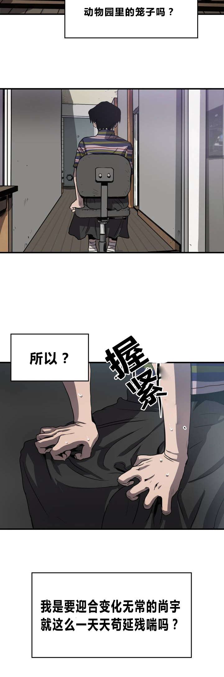 第10章：动物园