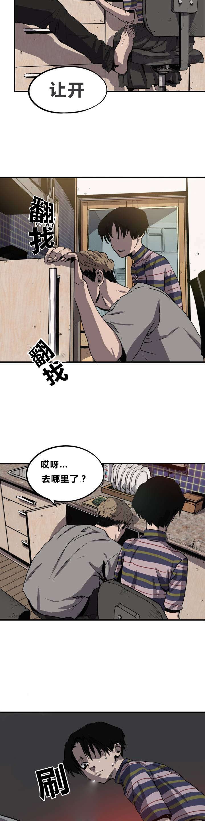 第10章：动物园