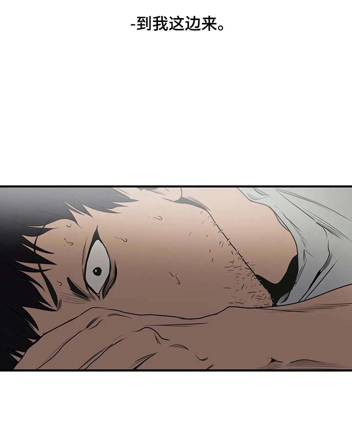 第139章：梦