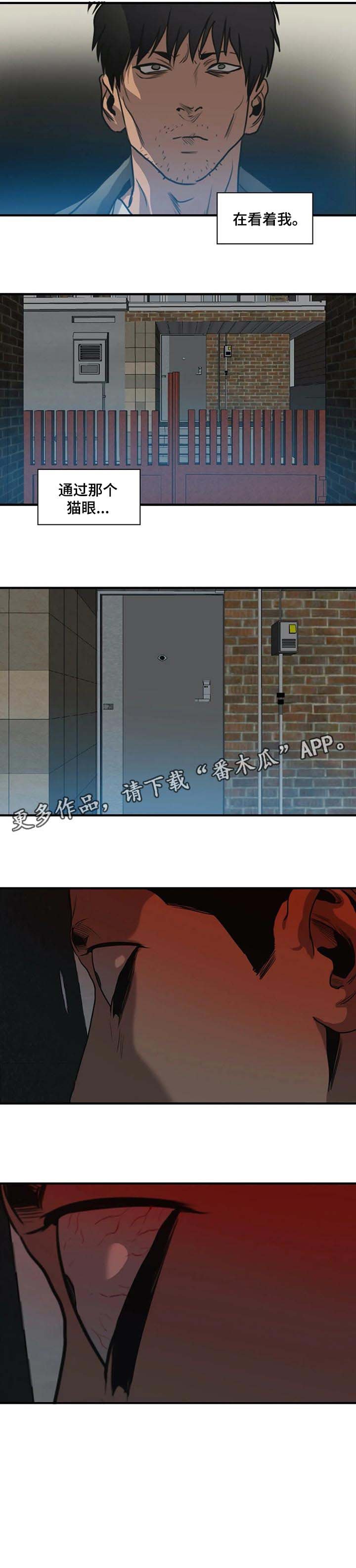 第178章：他在看着我