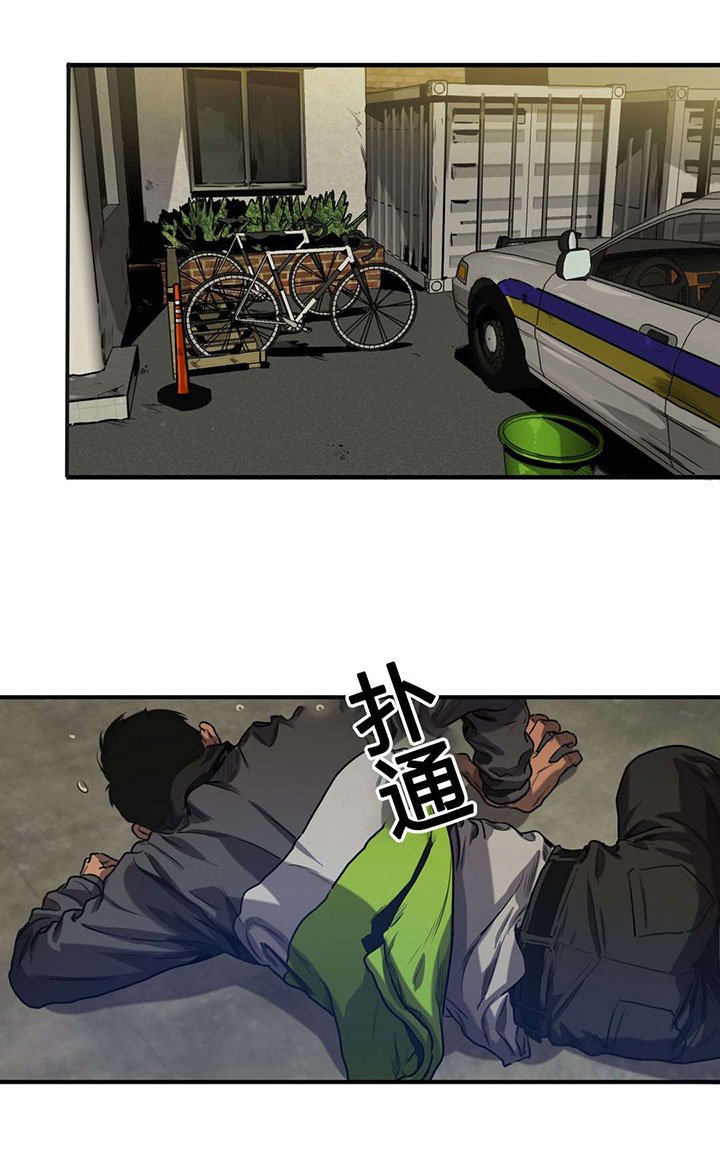 第69章：再次探查