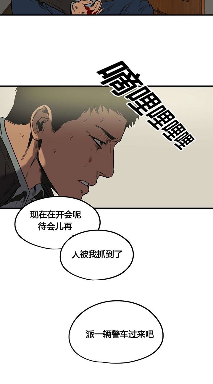 第74章：抓捕