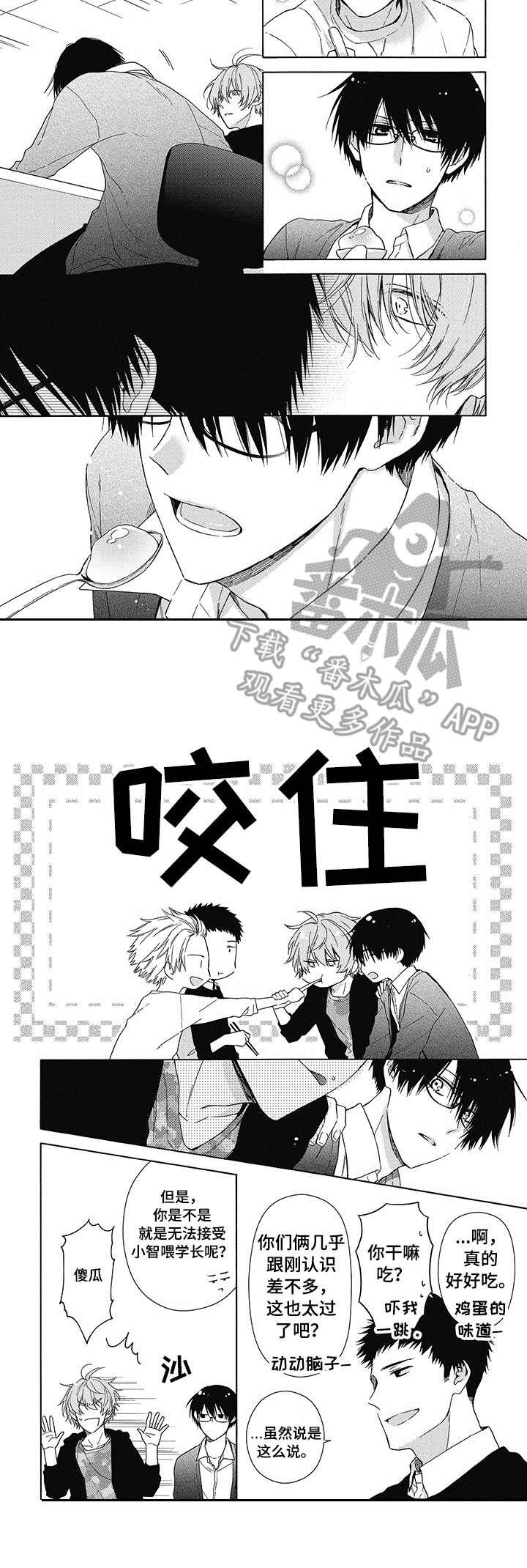 第11章：特别的日子
