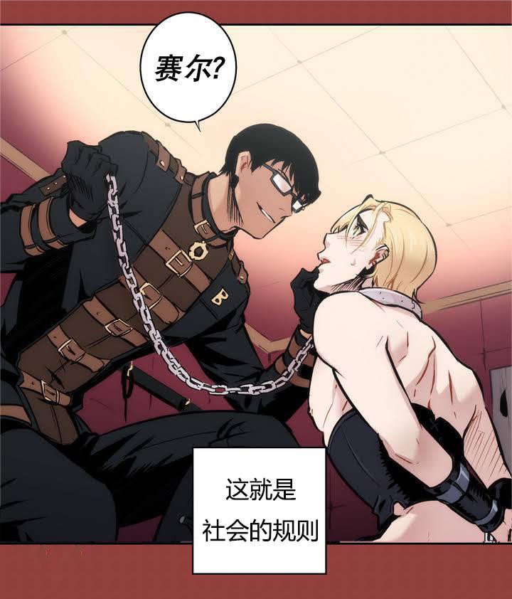 第1章：人类是下等的