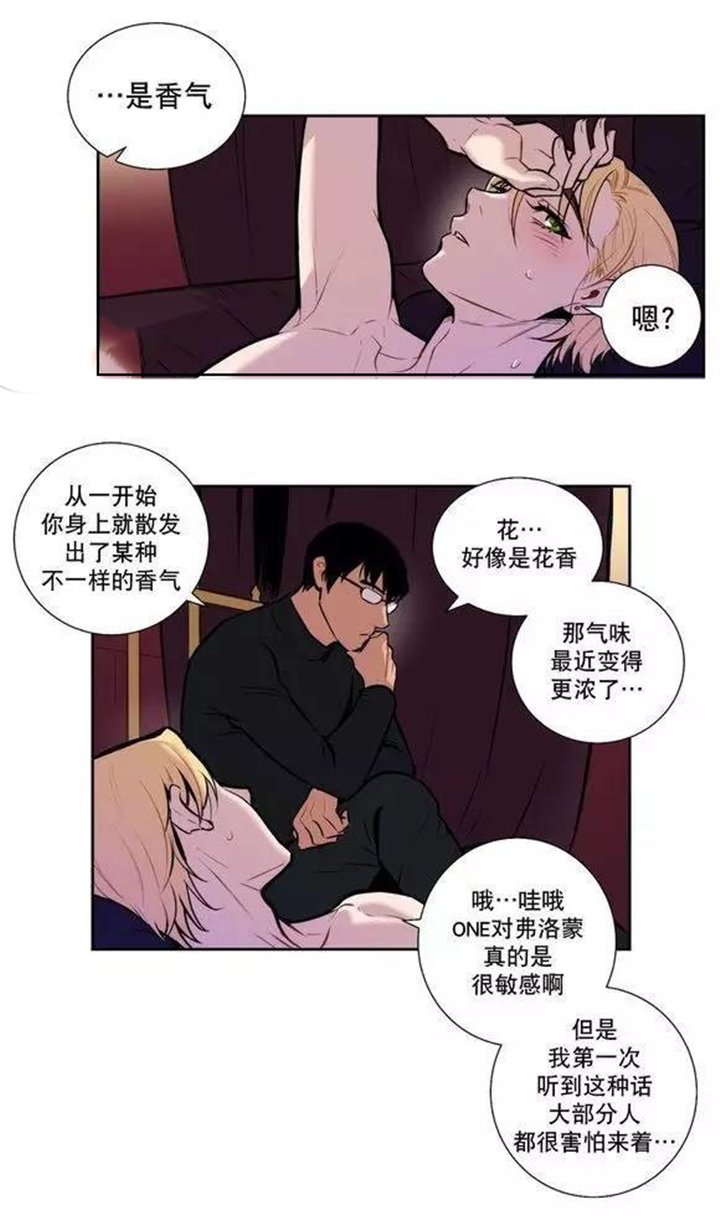 第32章：总有一天会把你