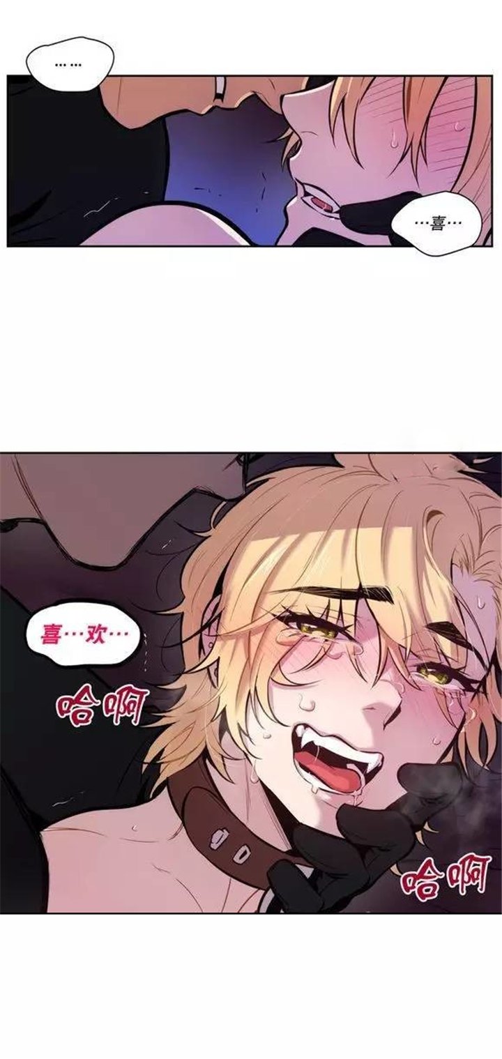 第35章：都是骗人的