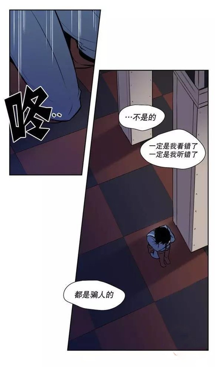 第35章：都是骗人的