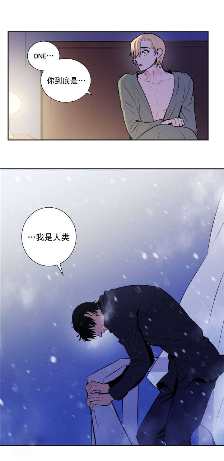 第52章：从未听说