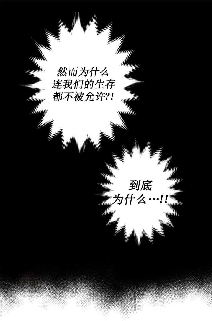 第56章：说出来了