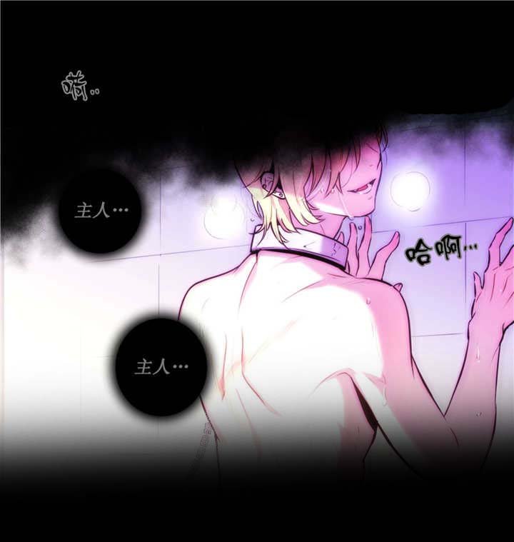 第63章：和我很像