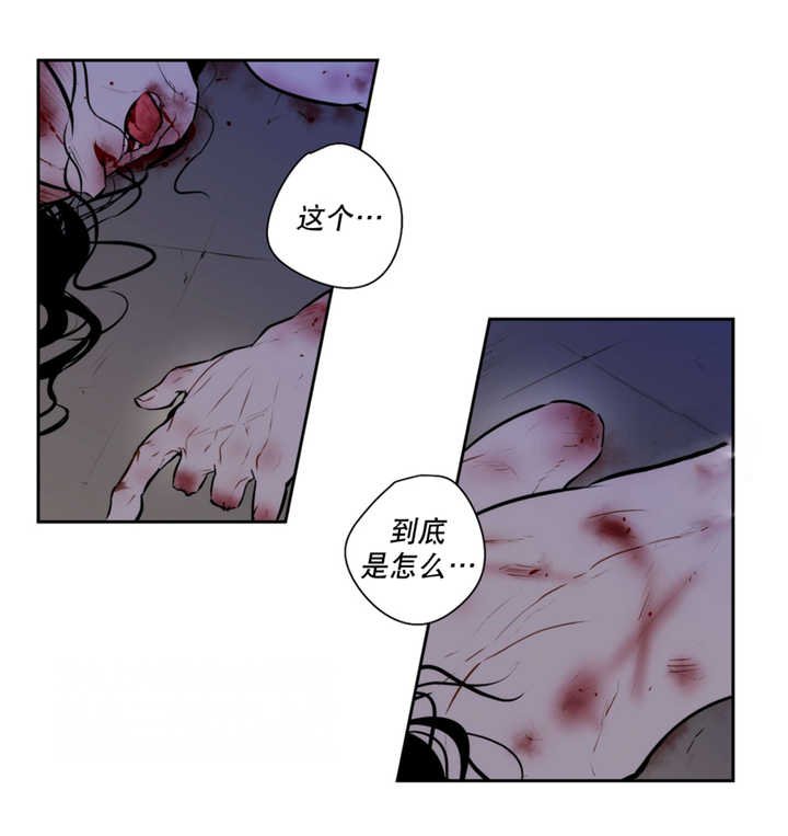第65章：奇怪脚印