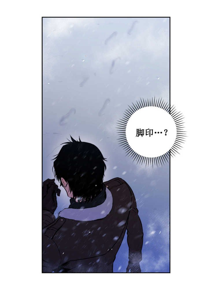 第65章：奇怪脚印