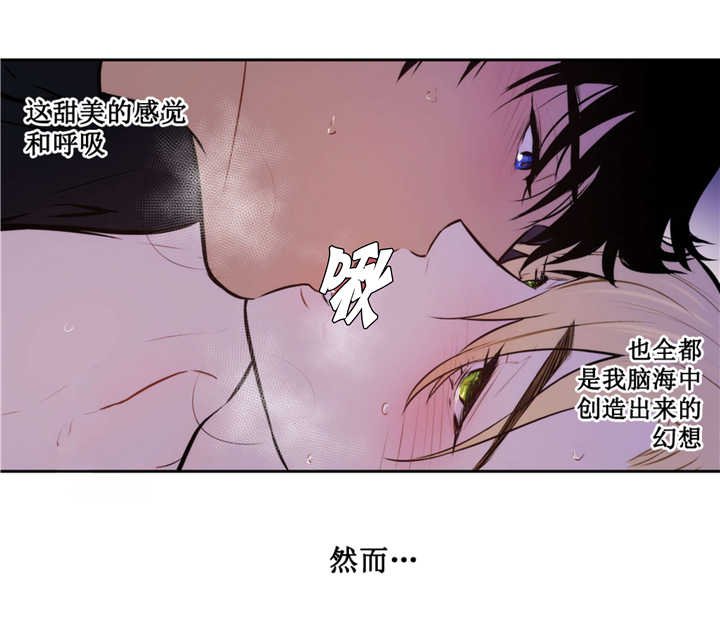 第68章：这是梦境