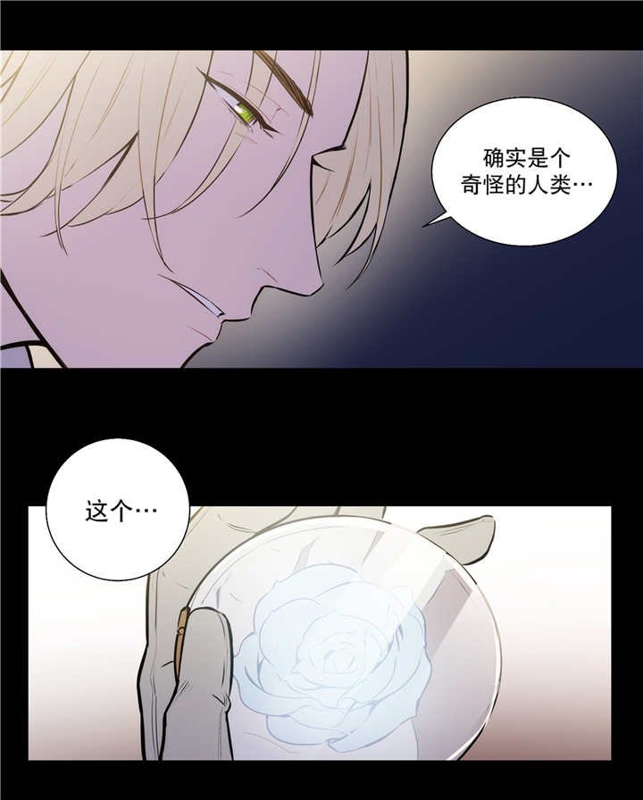第75章：解除关系