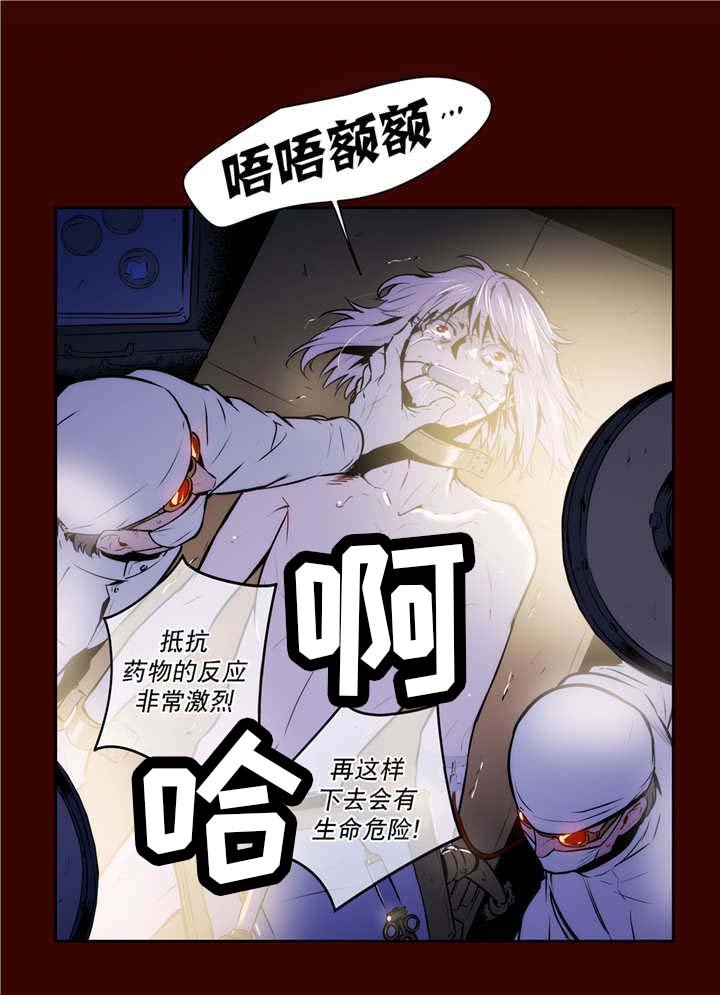 第78章：白化的蛇