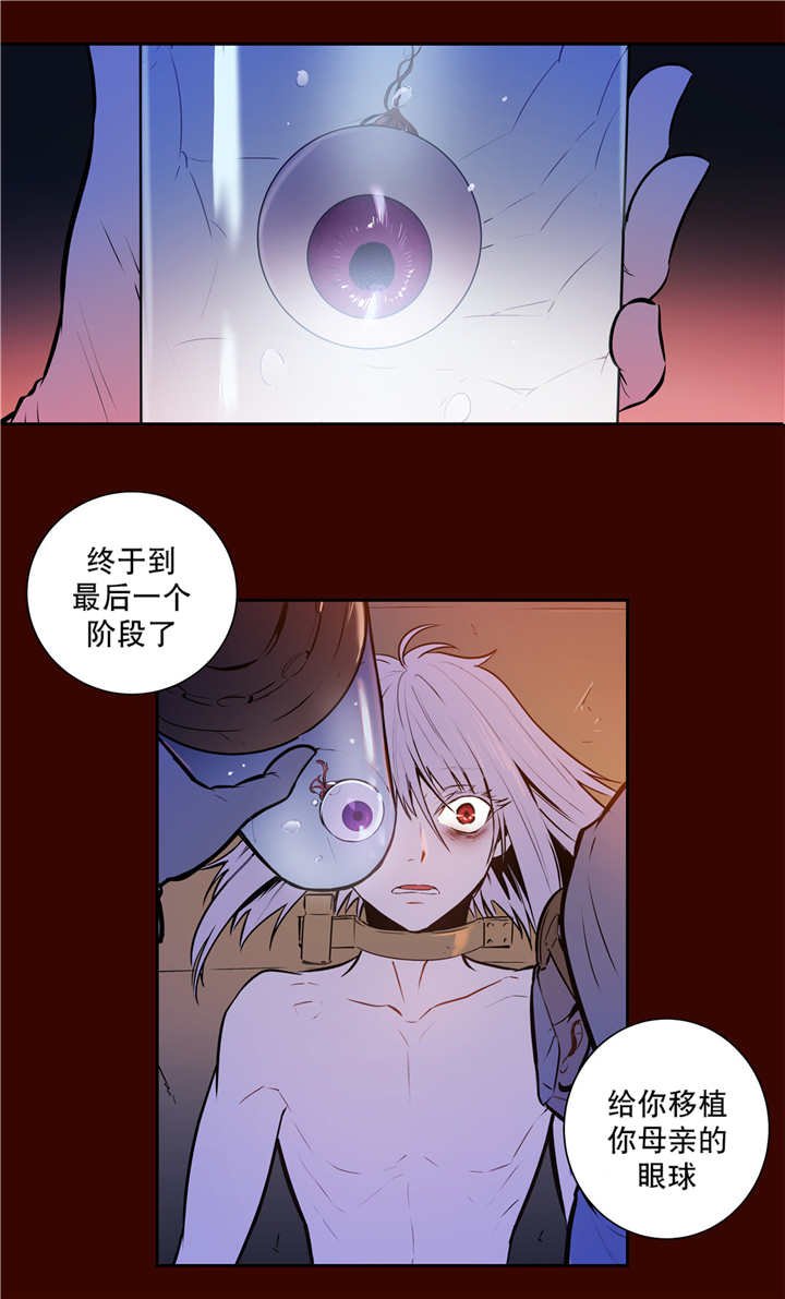 第78章：白化的蛇