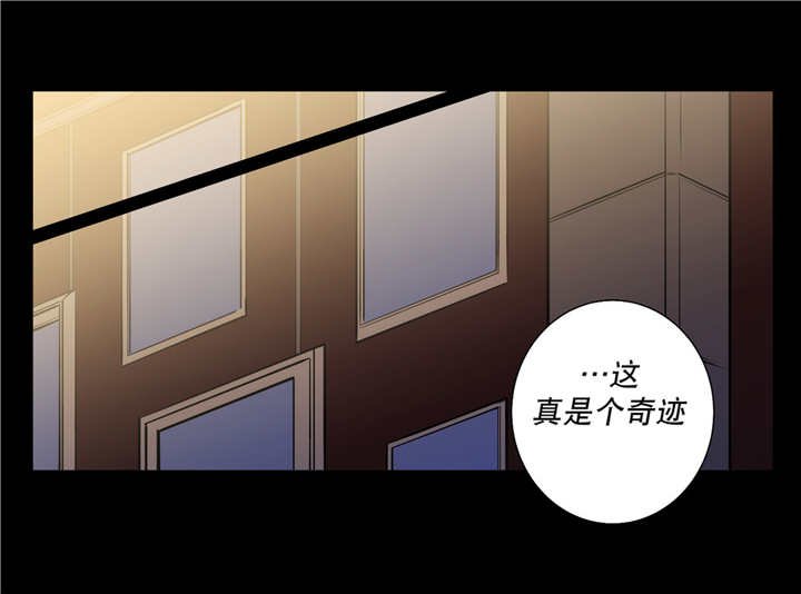 第79章：一丝希望