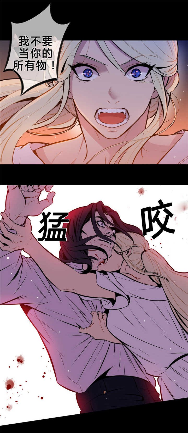 第81章：独特回忆