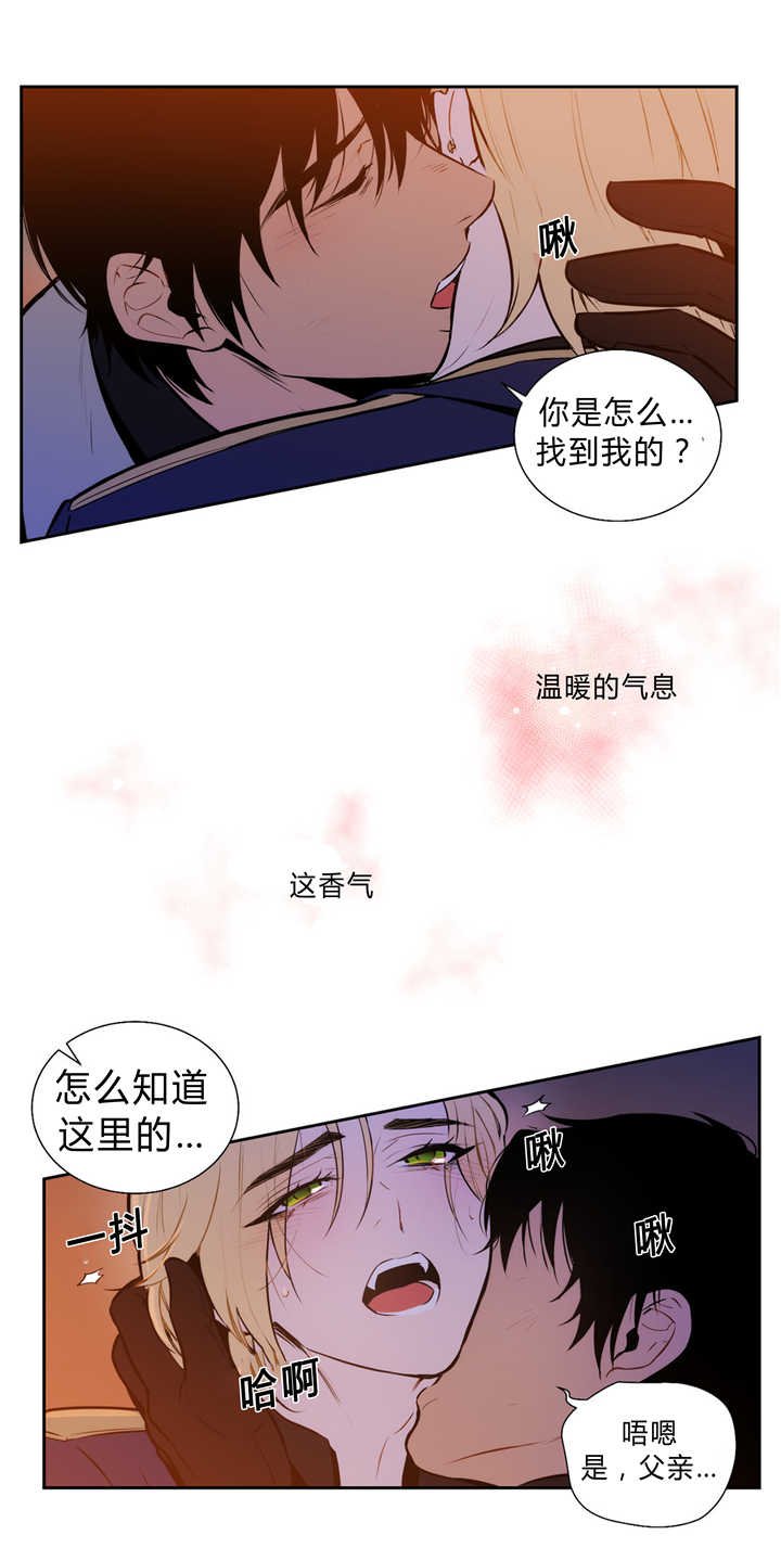 第83章：追逐香气