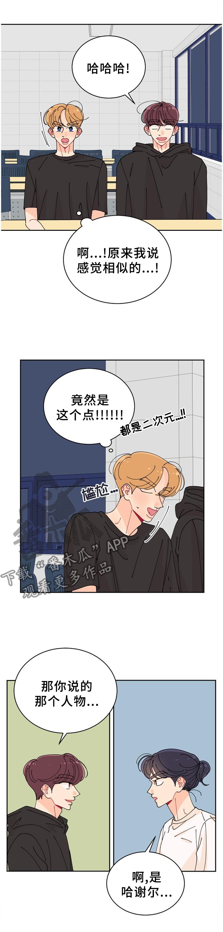 第37章：相似点