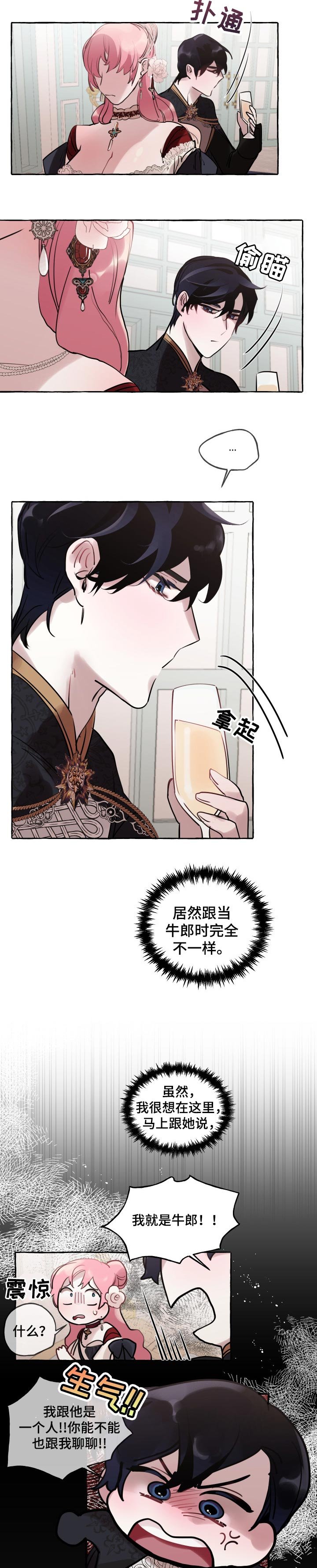 第37章：爱情会让人变成傻瓜