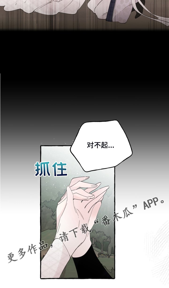 第80章：【第二季】重新结婚