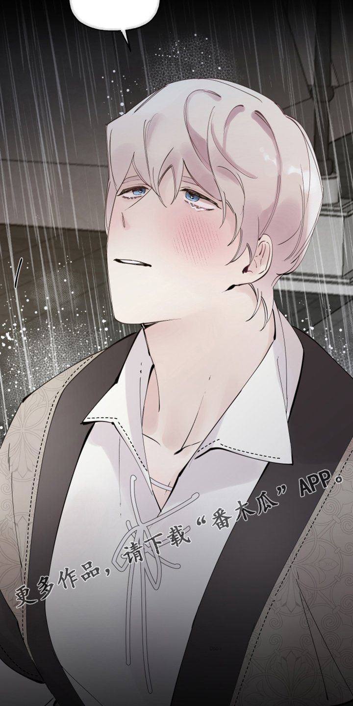 第85章：【番外】又下雨了