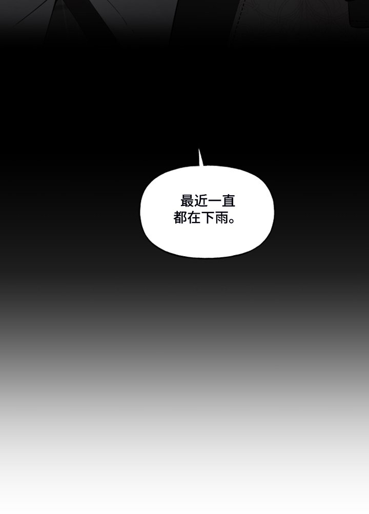 第85章：【番外】又下雨了