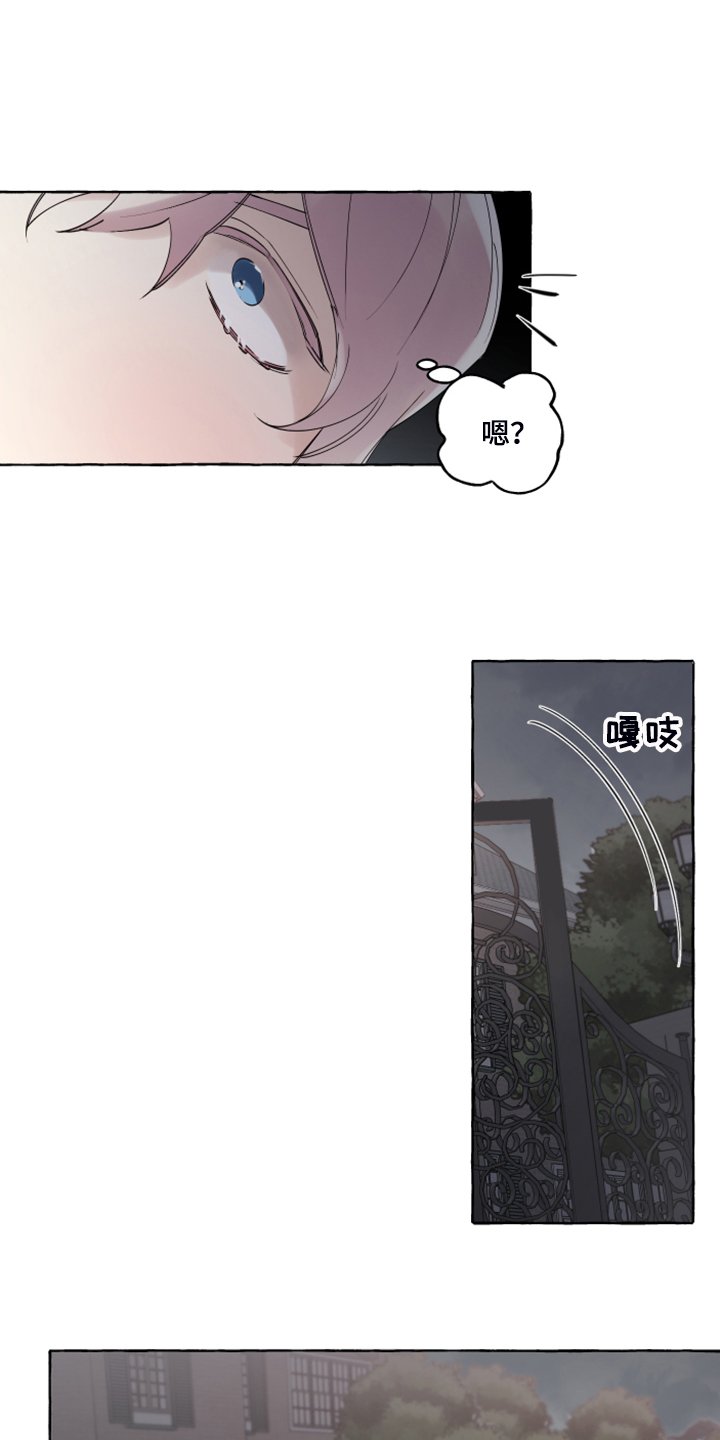 第86章：【番外】从未喜欢过