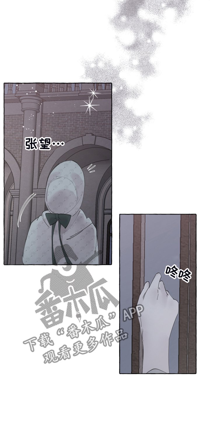 第86章：【番外】从未喜欢过