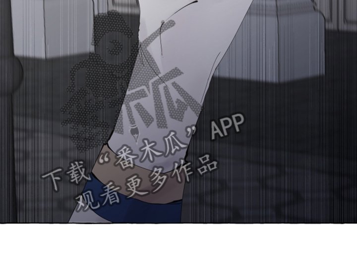 第86章：【番外】从未喜欢过