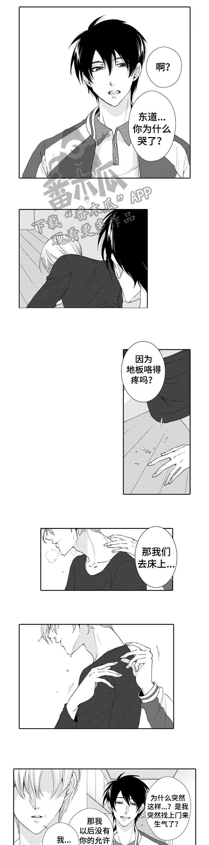 第11章：结束