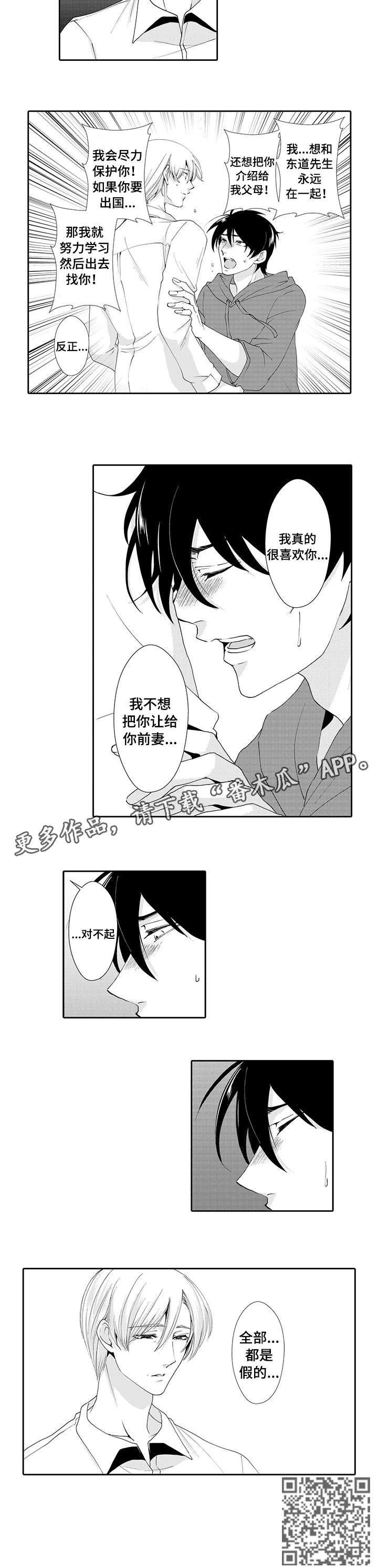 第15章：假的