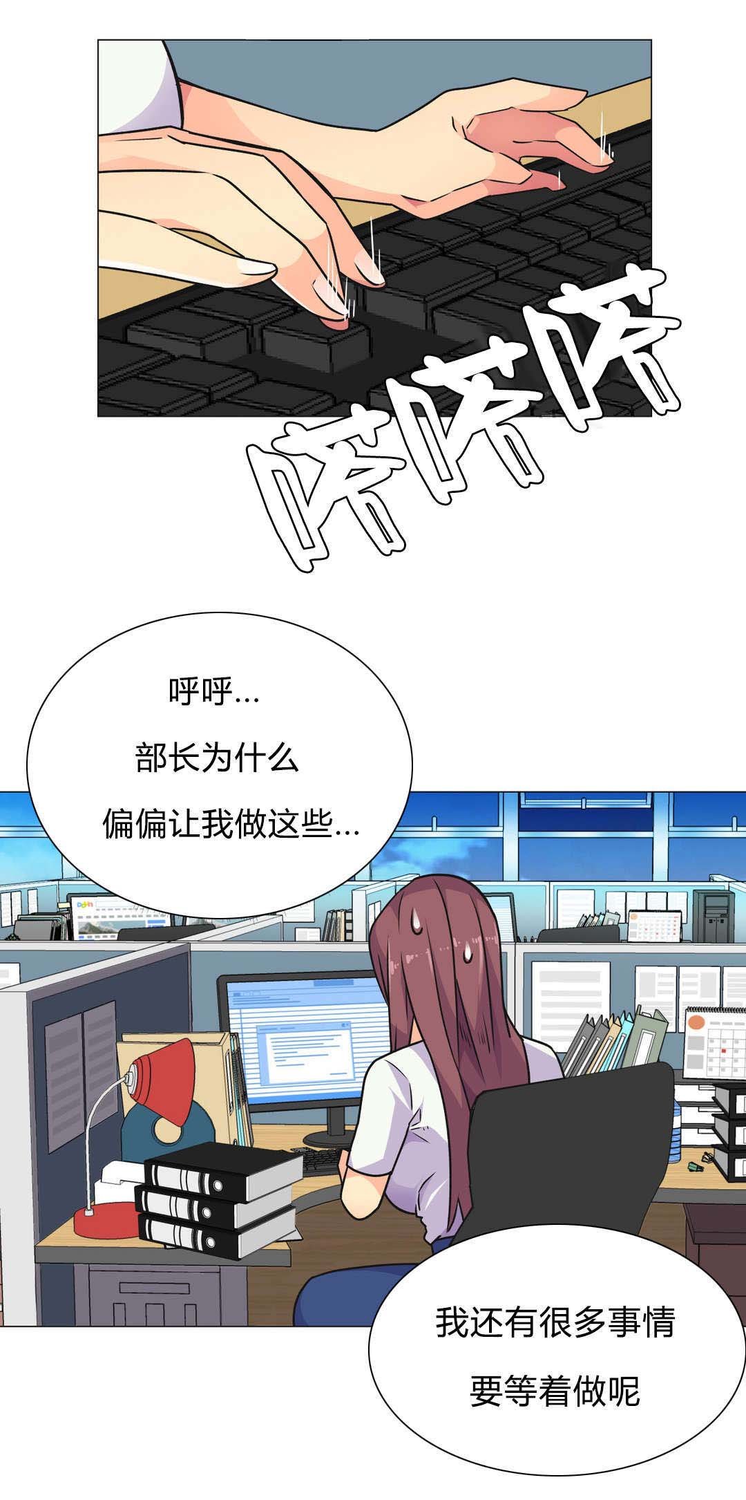 第31章：深夜计划