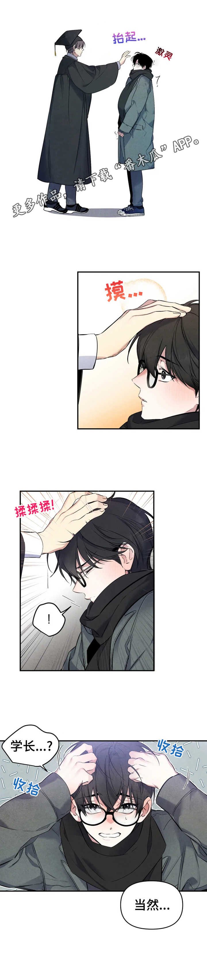 第16章：无法选择