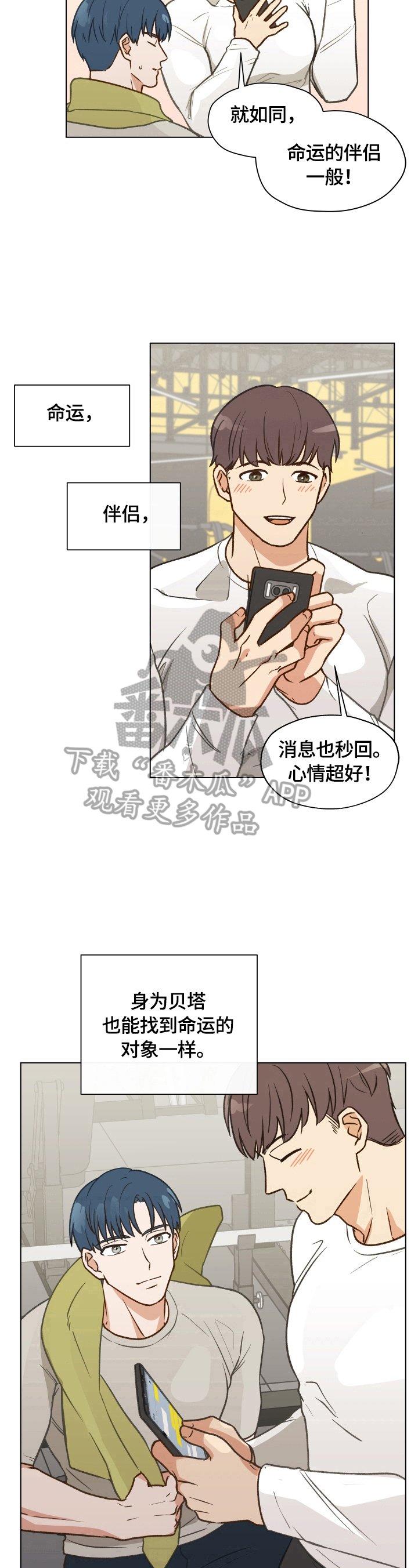 第5章：憧憬命运伴侣