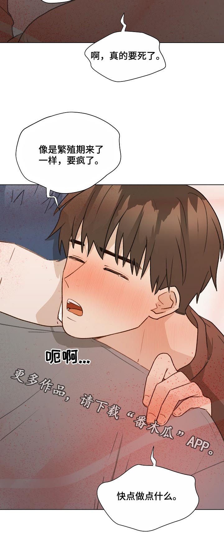 第52章：最后一次练习