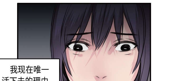 第11章：视线