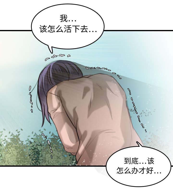第13章：绝望与寄托