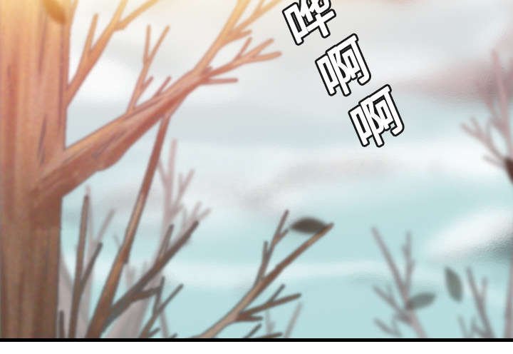 第19章：迟来的相遇