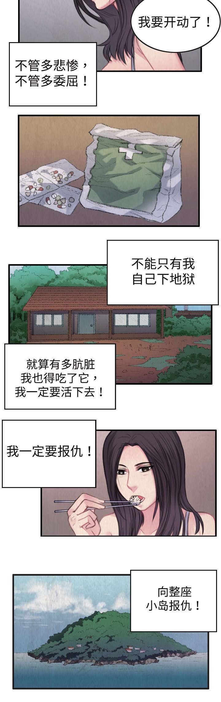 第2章：向小岛复仇