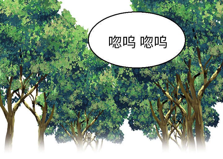 第23章：丛林偶遇