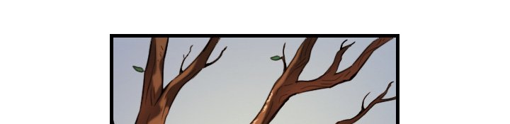 第64章：完结