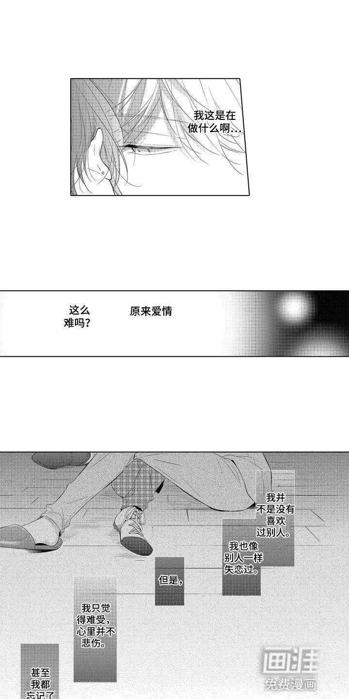 第13章：为什么