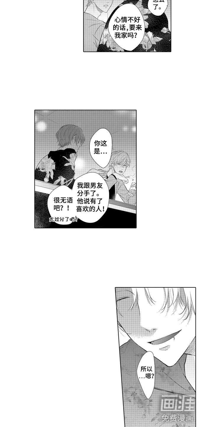 第16章：遇见